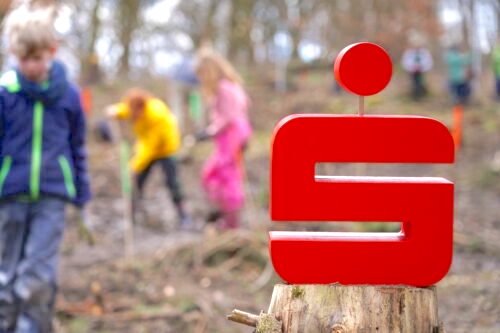 Bielefeld S Schulwald Hier Entsteht Ein Neuer Wald Sparkasse Bie